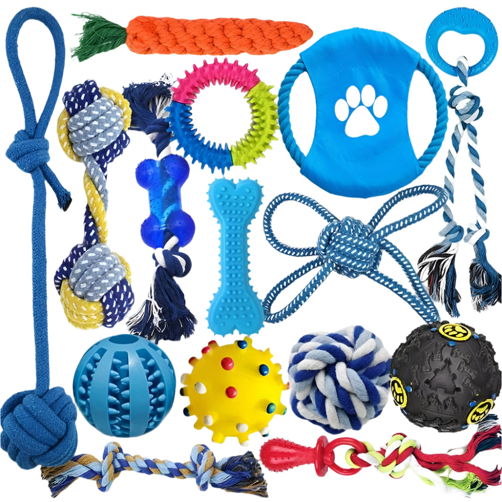 Hunde-Kauspielzeug Set 15-teilig