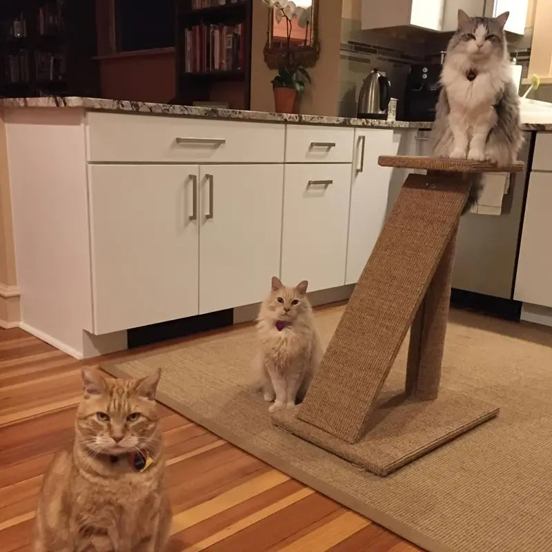 Premium Natur-Sisal Kratzmatte für Katzen – Möbelschutz